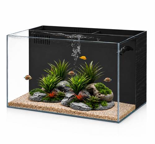פרפקט אקווריום מלבני Perfect Aquarium Rimless BZ-500