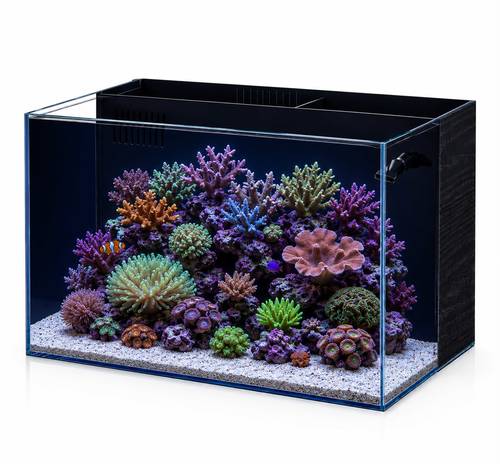 פרפקט אקווריום מלבני Perfect Aquarium Rimless BZ-500
