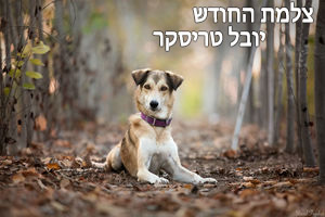 צלמת החודש - יובל טריסקר