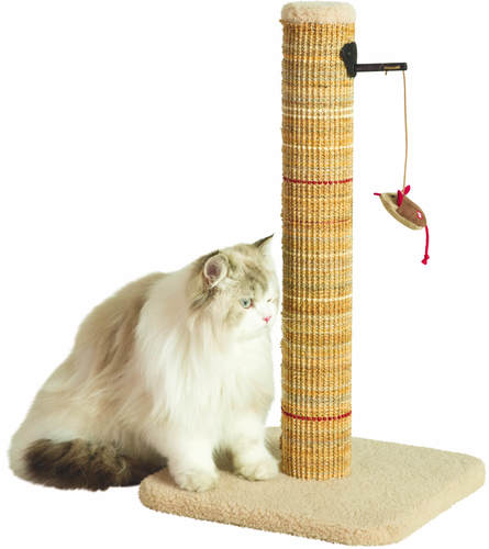 זולוקס עמוד גירוד איכותי לחתולים בז'/ירוק  BOREAL SCRATCH POST 