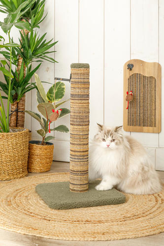 זולוקס עמוד גירוד איכותי לחתולים בז'/ירוק  BOREAL SCRATCH POST 
