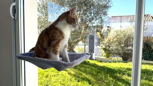 זולוקס ערסל חלון מפנק לחתולים RIO WINDOW HAMMOCK ESS GREY