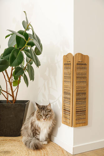 זולוקס מתקן גירוד פינתי לחתולים בז'/ירוק   BOREAL CORNER SCRATCHER