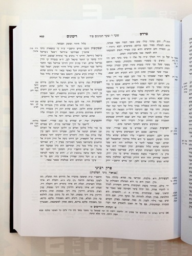 פרדס רימונים