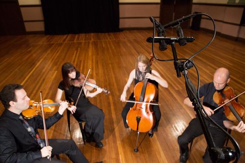 זוית נוספת Rode M5 Matched Pair