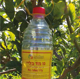 מלכודת לזבוב הפירות וזבוב הזית - נו מד פליי