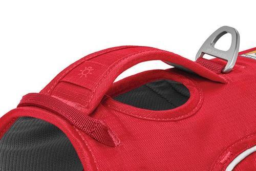 ראפוואר רתמה לכלב Web Master Harness בצבעים - מידה XS