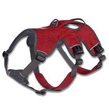 ראפוואר רתמה לכלב Web Master Harness בצבעים - מידה M