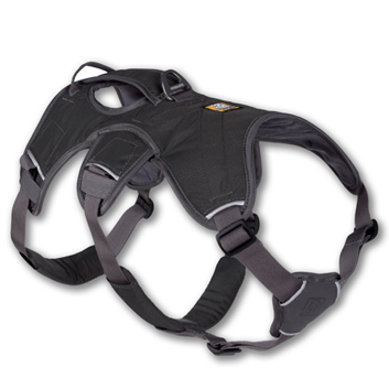 ראפוואר רתמה לכלב Web Master Harness בצבעים - מידה M