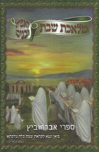 מלאכת שבת לאבות ובנים