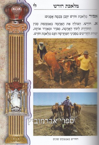 מלאכת שבת לאבות ובנים