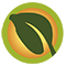 שקדיה