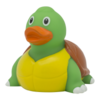 ברווז צב