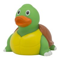 ברווז צב
