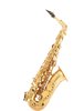 סקסופון אלט RXGL - Gold Lacquer מבית Forestone