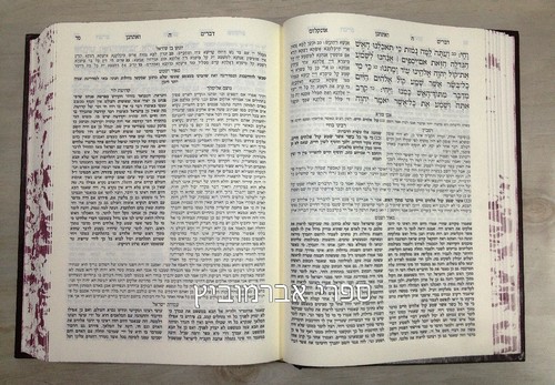 מאורי חסידות ברזני