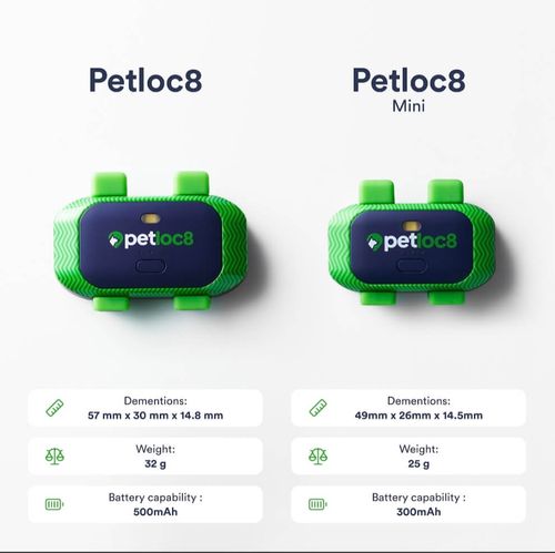GPS לכלבים וחתולים Petloc8 - קטן