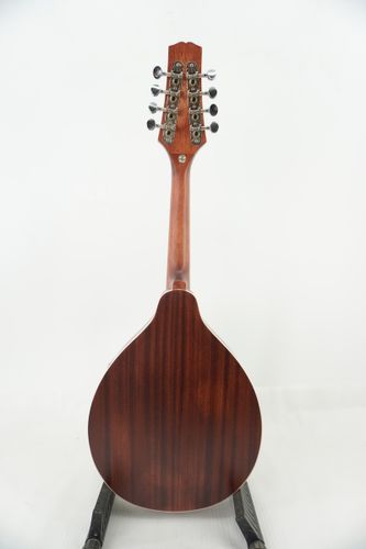 מנדולינה כולל נרתיק בגימור מט GRANADA ML200 Laminated Sapele