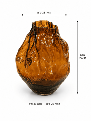 ואזה זכוכית חום כהה 3 SS24-134 