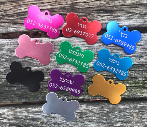 דיסקית לכלב עצם