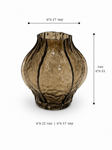 ואזה זכוכית קלאס שחורה 3 SS24-197 