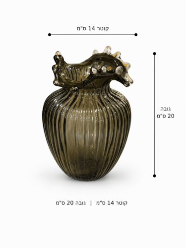 ואזה זכוכית קלאס שחורה 5 22001291-1 