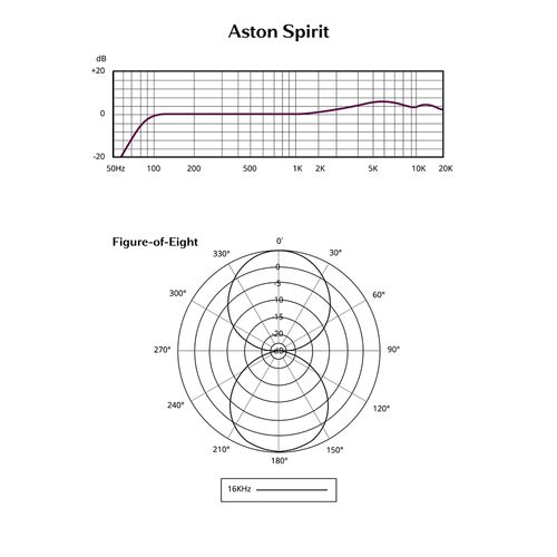 זוית נוספת Aston Microphones Spirit