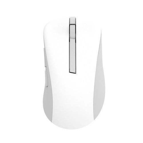 עכבר אלחוטי Asus MD102 שקט וארגונומי - BT 5.0 / 2.4GHz / 1600dpi - לבן אסוס