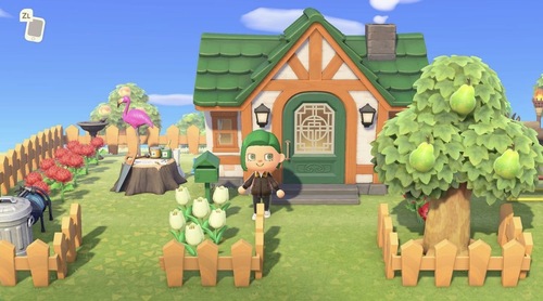  Animal Crossing: New Horizons – Nintendo Switch 2 Edition | 