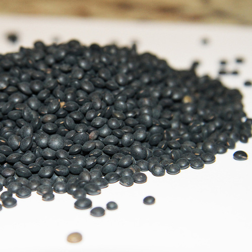 עדשים שחורות- 1 קילו- Black Lentils 