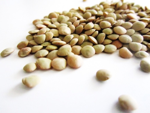 עדשים ירוקות-1 קילו- green Lentils 