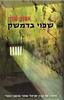 שפוי בדמשק (יד 2)- אמנון שרון