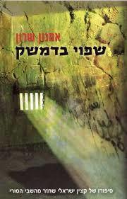 שפוי בדמשק (יד 2)- אמנון שרון שונות 