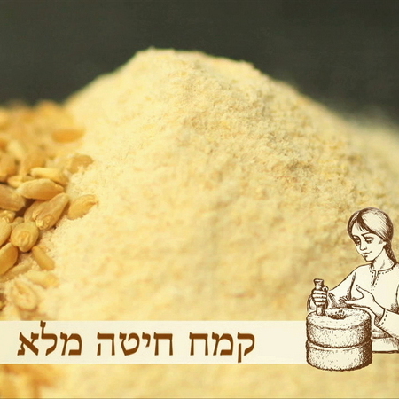 חיטה מלאה