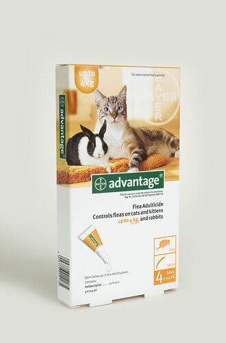 אדוונטאג' - Advantage - אמפולות לחתול ולארנב - למשקל עד 4 ק