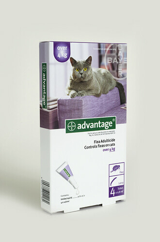 אדוונטאג' - Advantage - אמפולות לחתול - למשקל 4 ק