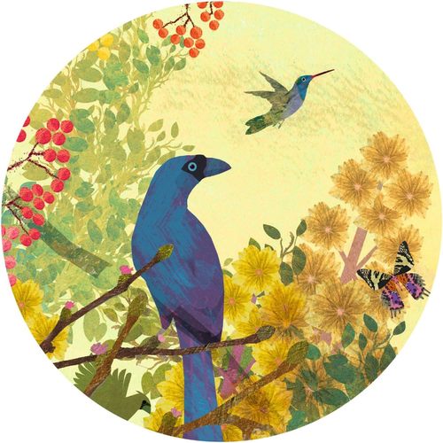 פאזל גלריה 1000 חלקים - ציפורים שלוות