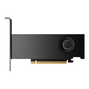 NVIDIA RTX 2000 Ada | 16GB