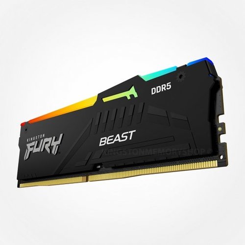 ז. לנייח | Kingston Fury Beast RGB | 16GB | DDR5 | 5600MHZ C36 AMD EXPO