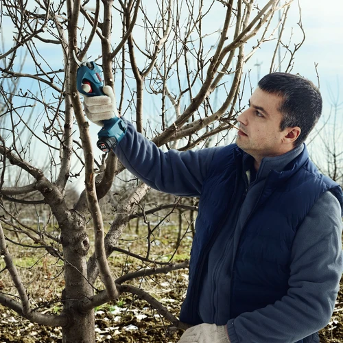 מזמרה מקצועית נטענת בראשלס BOSCH PRO PRUNER 12V BRUSHLESS +סוללה 3A ומטען