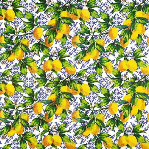 מפיות נייר 20 יח' Citrus Branches on Tiles