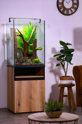 זולוקס אקווריום דגם קולומן AQUA COLUMN 50