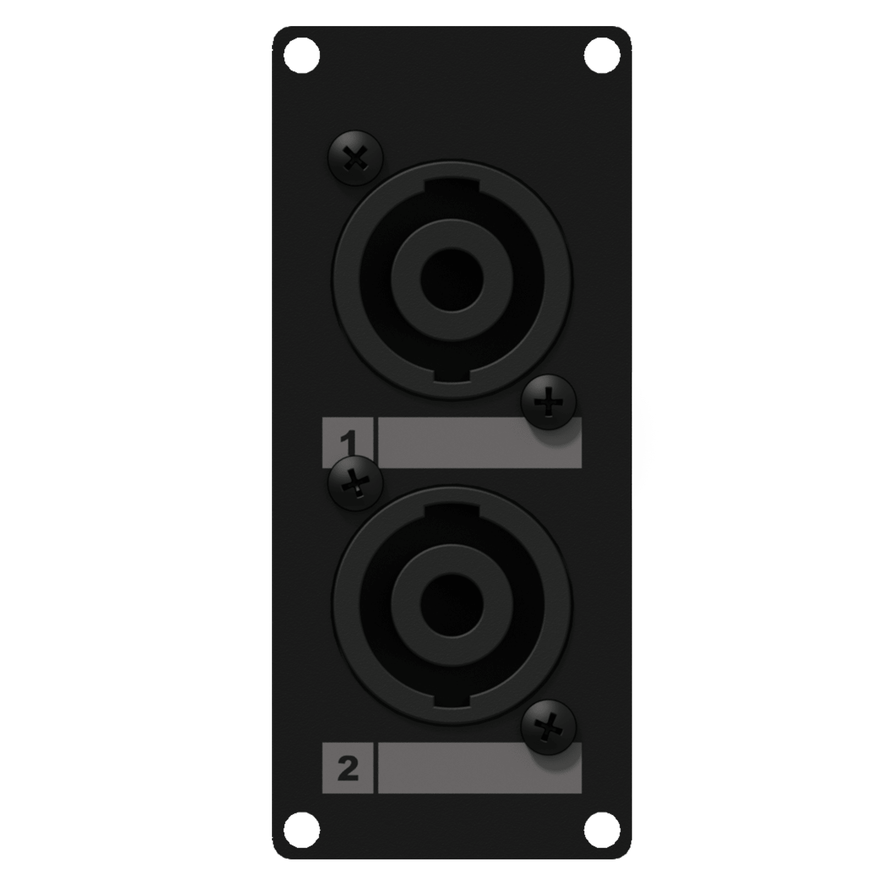 פנל 1 מקום כולל זוג פלאגים  Caymon CASY142 male SpeakON to 4-pin terminal block - אלומניום שחור