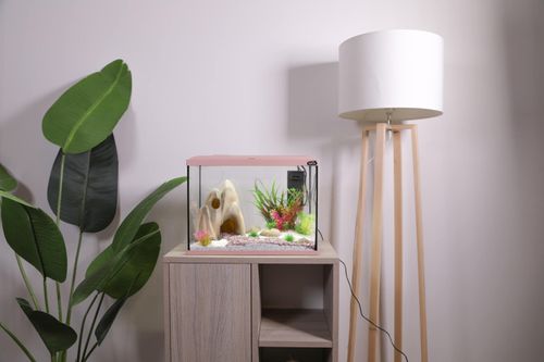 זולוקס אקווריום דגם איקאי ירוק/ורוד/אפור/כחול EKAI AQUARIUM 40