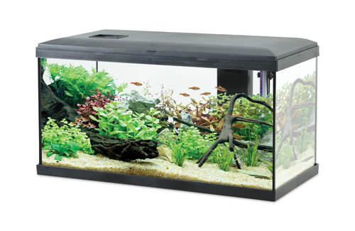 זולוקס אקווריום אינטיו 60 לבן/שחור  דגם KIT AQUA INITIO 60 BLACK 