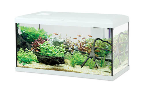 זולוקס אקווריום אינטיו 60 לבן/שחור  דגם KIT AQUA INITIO 60 BLACK 