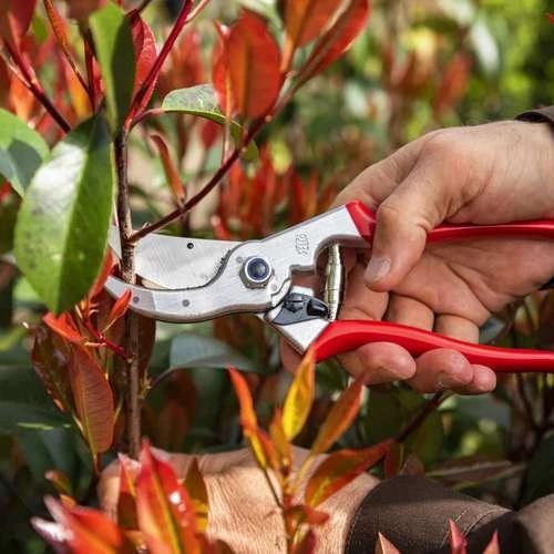 מזמרה ידנית פלקו 4 דגם סטנדרטי FELCO 4