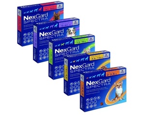 NEXGARD נקסגארד ספקטרה טבליות נגד מזיקים לכלב נקסגארד - NEXGARD