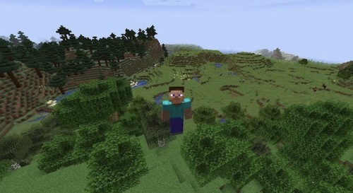 מיינקראפט PS4 | Minecraft PS4