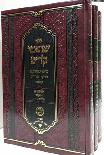 שופטי קדש ג